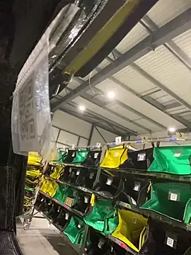 benben190 online show from March 12, 1:14 am