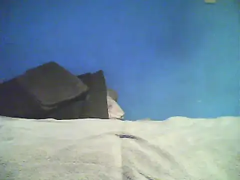 Vago745 online show from December 2, 10:50 am