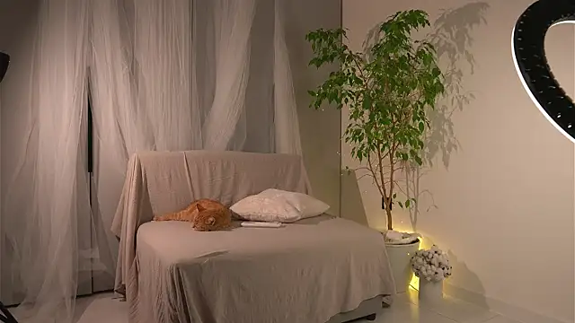 lorrie love story online show from November 24, 11:21 am