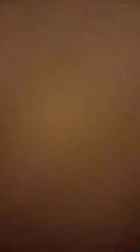 Nutbuster247 online show from February 27, 11:04 pm