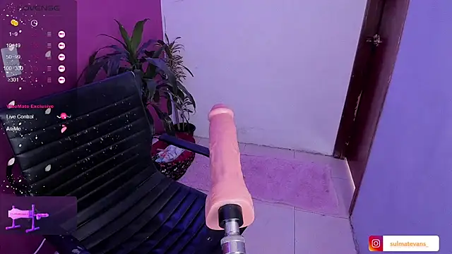  sulmatevans  online show from January 19, 5:49 pm