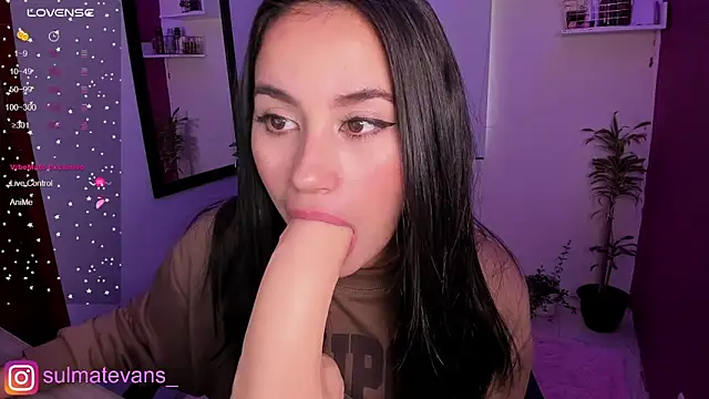  sulmatevans  online show from February 21, 1:55 pm