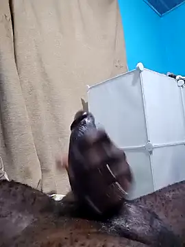 Snapshot of Dick_undisputed chatting on January 7, 1:17 am Dick undisputed online show from January 7, 1:17 am