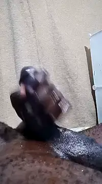 Snapshot of Dick_undisputed chatting on January 13, 12:19 am Dick undisputed online show from January 13, 12:19 am