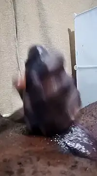 Snapshot of Dick_undisputed chatting on January 17, 12:10 pm Dick undisputed online show from January 17, 12:10 pm