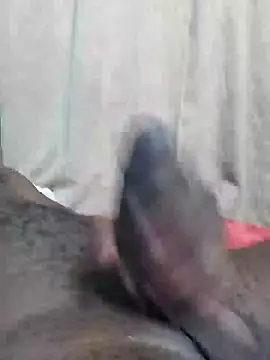 Snapshot of Dick_undisputed chatting on February 12, 1:30 am Dick undisputed online show from February 12, 1:30 am