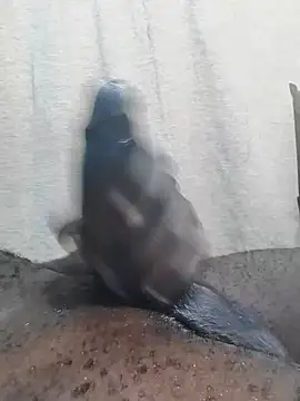 Snapshot of Dick_undisputed chatting on February 23, 12:16 pm Dick undisputed online show from February 23, 12:16 pm