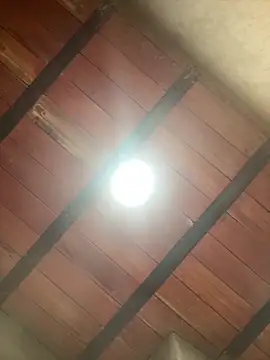 Snapshot of MollySanders___ chatting on December 13, 10:59 pm MollySanders online show from December 13, 10:59 pm