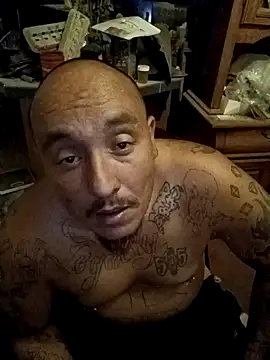 wilsons12 online show from November 8, 5:18 am