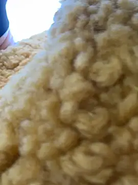 moneymaker taipei online show from February 25, 7:29 am