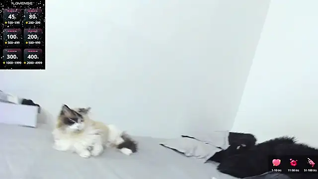 Snapshot of SophieBaker__ chatting on February 3, 2:10 am SophieBaker online show from February 3, 2:10 am