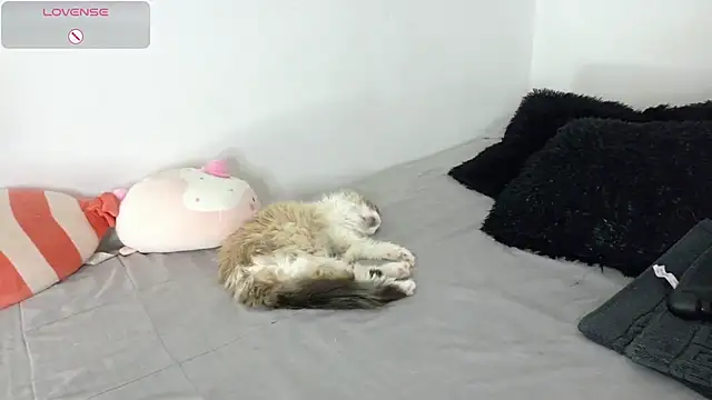 SophieBaker   online show from May 2, 2:16 am