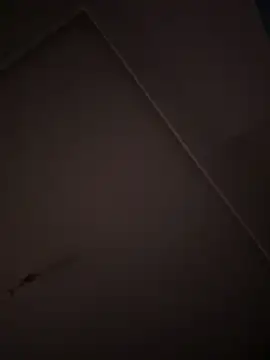 Snapshot of eddy355 chatting on October 26, 9:31 pm eddy355 online show from October 26, 9:31 pm