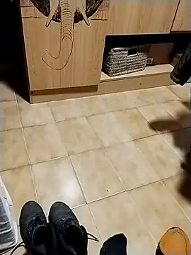 Snapshot of minitranca chatting on October 28, 8:22 pm minitranca online show from October 28, 8:22 pm