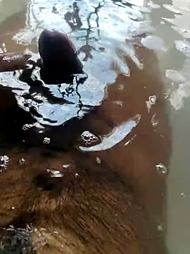 mysterious guy kakashi1 online show from February 22, 9:41 am