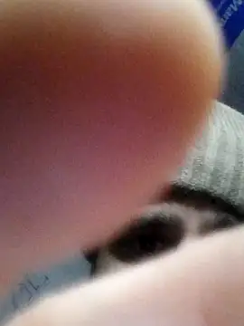 fitguy7124u online show from December 2, 11:15 am