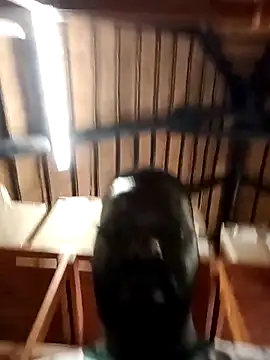 Snapshot of Touch_mysoul chatting on October 26, 8:09 am Touch mysoul online show from October 26, 8:09 am