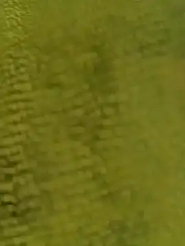 Snapshot of sadunt chatting on December 17, 9:26 am sadunt online show from December 17, 9:26 am