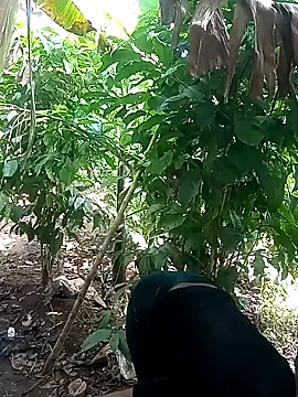 Black juicy24 online show from February 6, 7:13 am