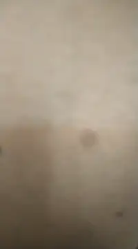 rohitlov150 online show from February 13, 11:50 am