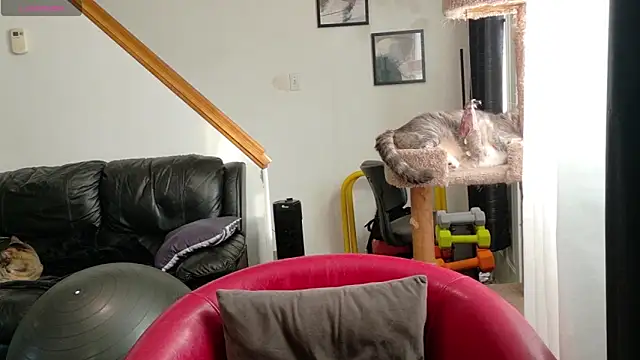 Snapshot of Thekodyy chatting on September 17, 12:40 pm Thekodyy online show from September 17, 12:40 pm