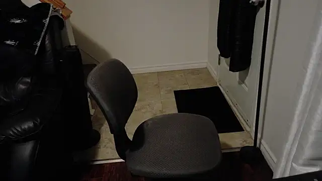 Snapshot of Thekodyy chatting on December 4, 12:53 am Thekodyy online show from December 4, 12:53 am