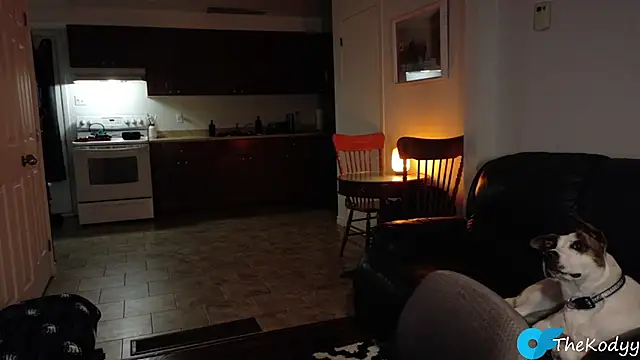 Snapshot of Thekodyy chatting on January 9, 6:27 am Thekodyy online show from January 9, 6:27 am