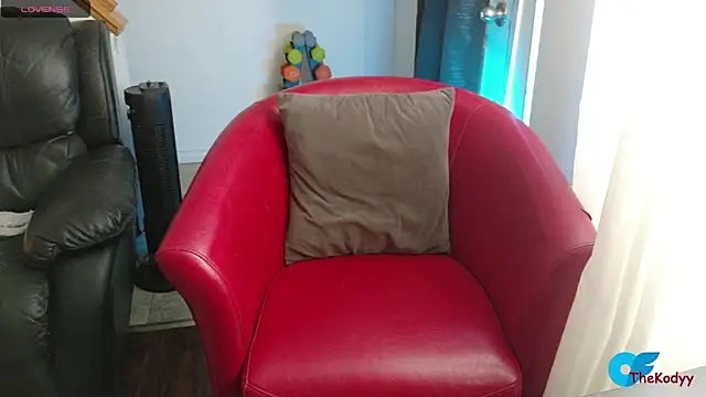 Snapshot of Thekodyy chatting on February 4, 4:24 pm Thekodyy online show from February 4, 4:24 pm