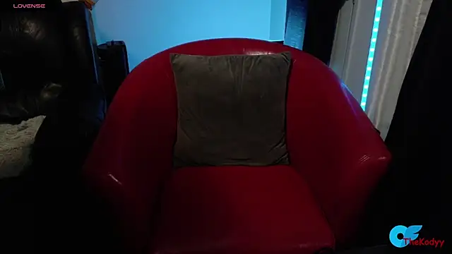 Snapshot of Thekodyy chatting on February 5, 6:18 am Thekodyy online show from February 5, 6:18 am