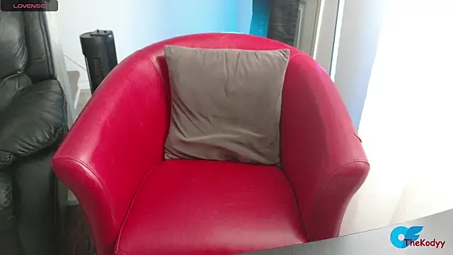 Snapshot of Thekodyy chatting on February 6, 3:48 pm Thekodyy online show from February 6, 3:48 pm