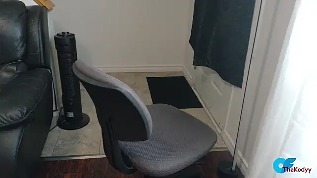 Snapshot of Thekodyy chatting on February 10, 2:10 pm Thekodyy online show from February 10, 2:10 pm