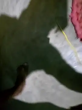 Snapshot of hotbaby_5 chatting on January 5, 2:52 pm hotbaby 5 online show from January 5, 2:52 pm