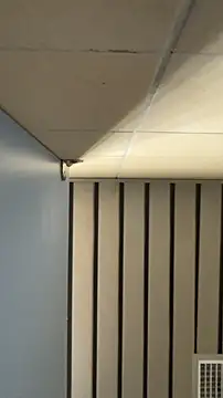 Snapshot of frnk30151 chatting on September 21, 3:02 pm frnk30151 online show from September 21, 3:02 pm