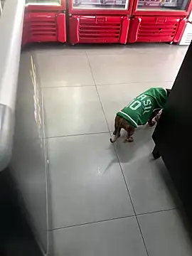 Hjsjsjsjjd online show from October 14, 12:17 pm