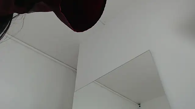 Snapshot of sussy_leon chatting on February 13, 2:12 am sussy leon online show from February 13, 2:12 am