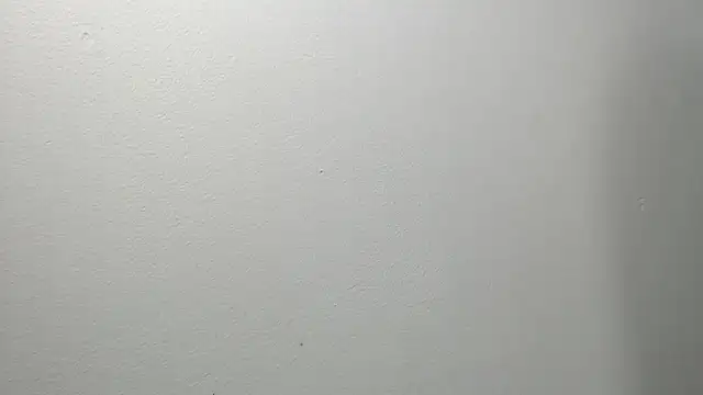 Snapshot of sussy_leon chatting on March 4, 12:22 pm sussy leon online show from March 4, 12:22 pm