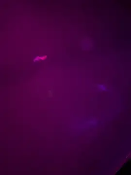 Alahia7demon online show from March 22, 10:18 am