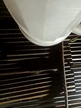 Huebolocko online show from February 10, 5:03 am