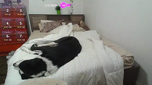 Kittyymaze1 online show from February 25, 1:28 pm