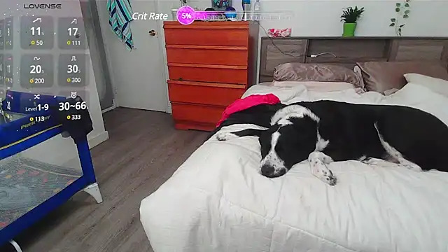 Kittyymaze1 online show from March 2, 2:32 pm