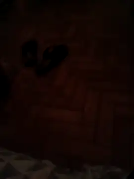 lobomisterioso13 online show from December 11, 1:26 am