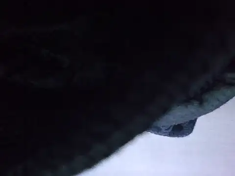 Snapshot of exmilitary chatting on February 15, 12:58 pm exmilitary online show from February 15, 12:58 pm