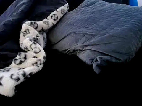 Niquitasparkles online show from December 23, 12:35 am