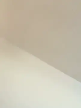 Snapshot of TransboyJay chatting on February 13, 5:31 pm TransboyJay online show from February 13, 5:31 pm