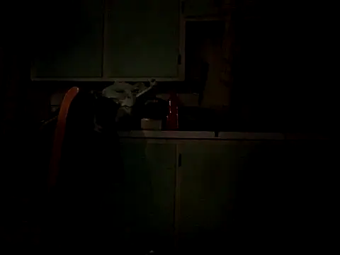 Snapshot of Frankdick01 chatting on October 4, 5:05 am Frankdick01 online show from October 4, 5:05 am