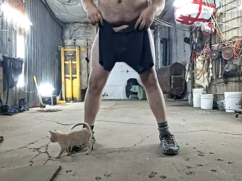 Snapshot of Frankdick01 chatting on November 8, 4:12 am Frankdick01 online show from November 8, 4:12 am