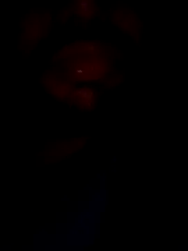 mohitsexy12 online show from December 8, 5:33 pm