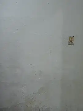 Branquinho Goxtoso online show from January 5, 2:38 am