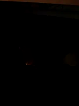 Snapshot of coppiapazza chatting on December 18, 11:22 pm coppiapazza online show from December 18, 11:22 pm