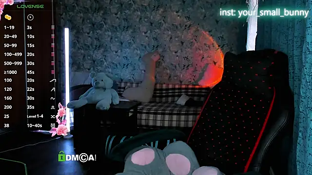 Snapshot of Your_small_bunny chatting on May 22, 2:08 am Your small bunny online show from May 22, 2:08 am